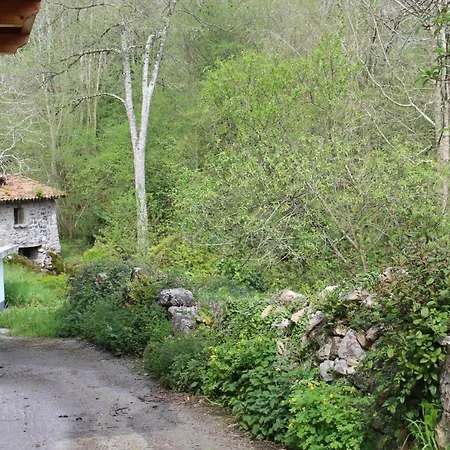 La Casita Del Violi